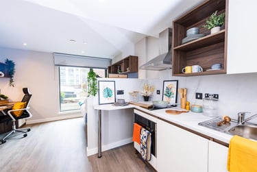 1 bed studio, Nelson Street, Holylands, Belfast, BT151BH - Image 4